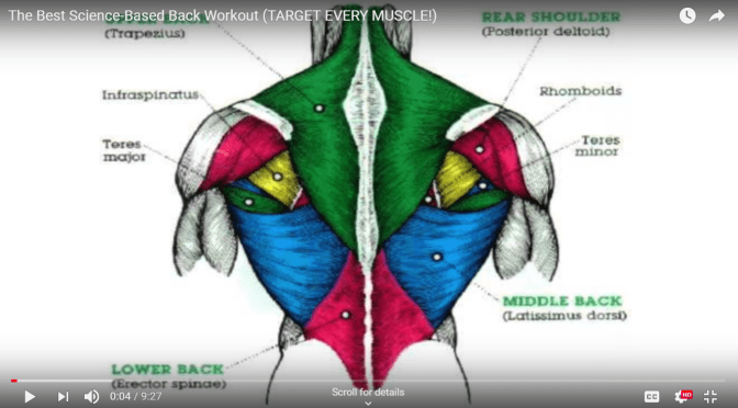 Youtube: The Best Science-Based Back Workout